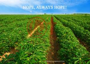 Read more about the article Hope, always Hope!